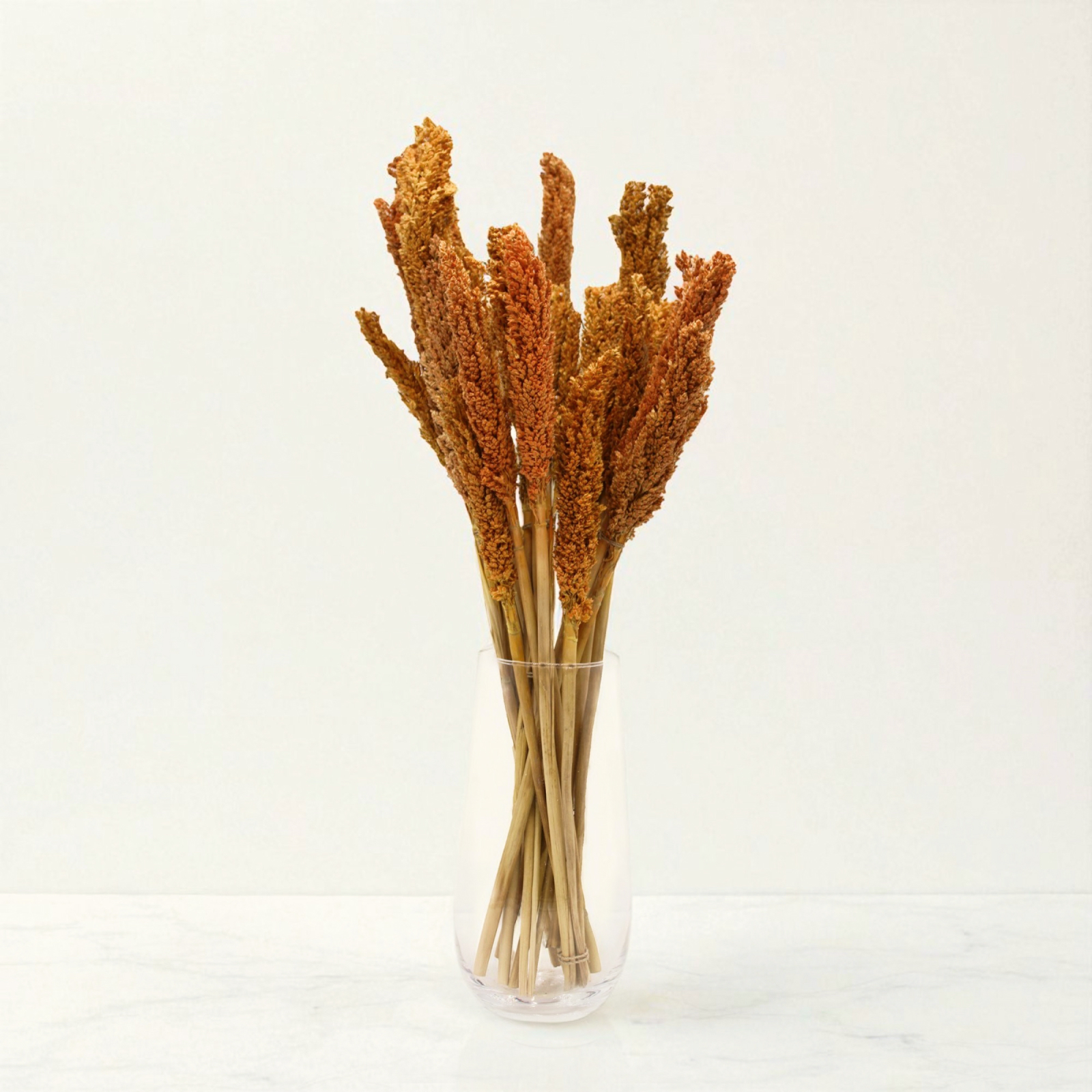 Obrazek: Dekorativní trsy čirokové trávy